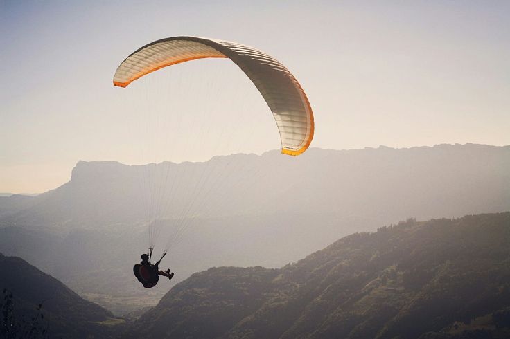 Flying Fox